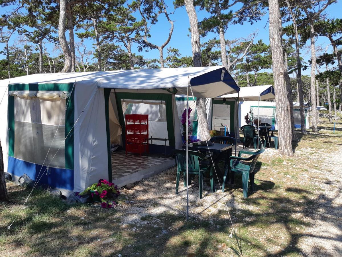 Hotel Camping Planik à Ražanac Extérieur photo