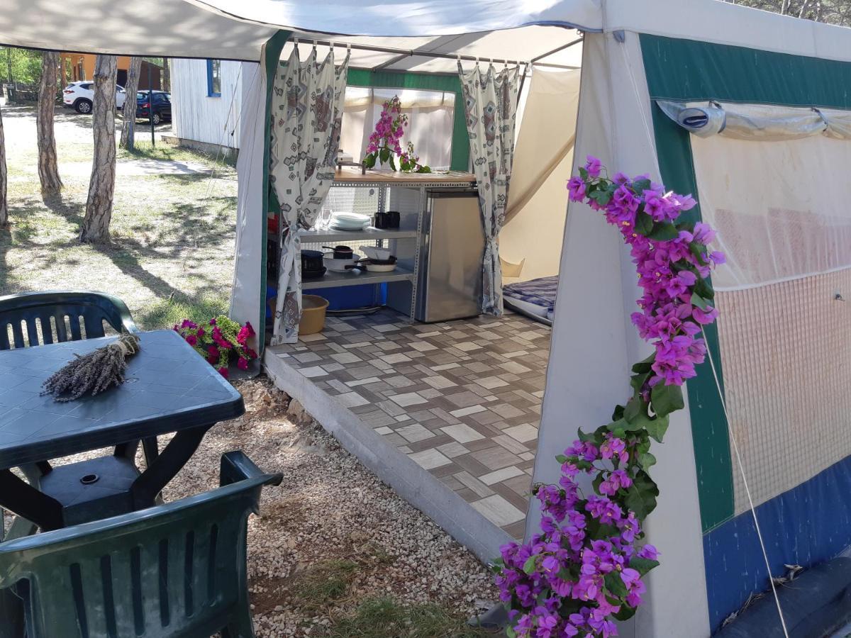 Hotel Camping Planik à Ražanac Extérieur photo