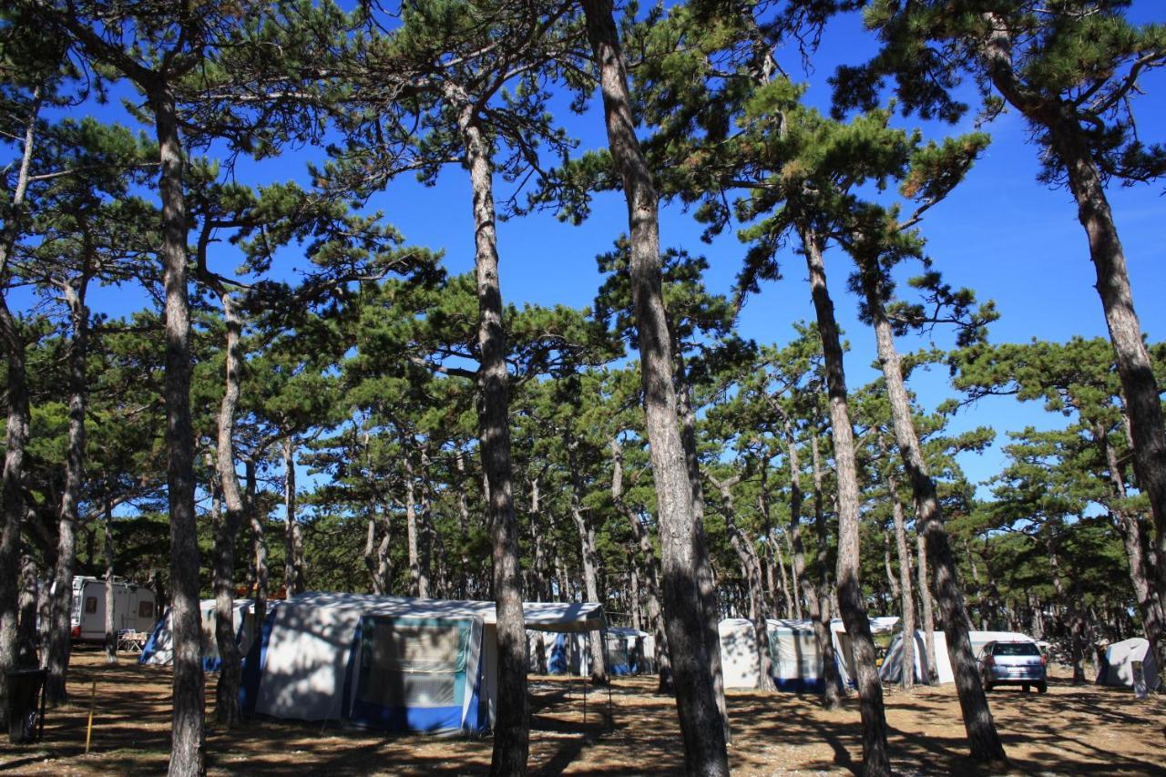 Hotel Camping Planik à Ražanac Extérieur photo