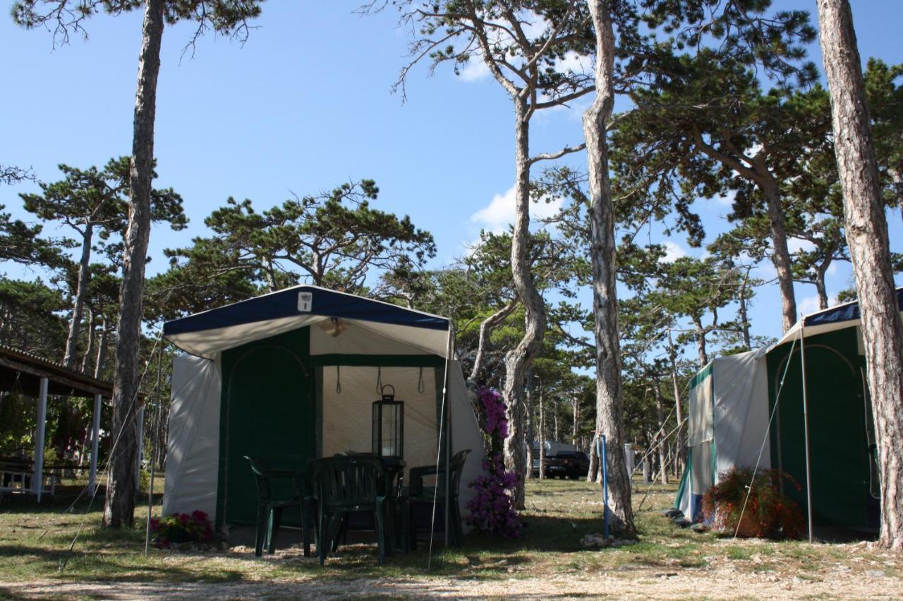 Hotel Camping Planik à Ražanac Extérieur photo